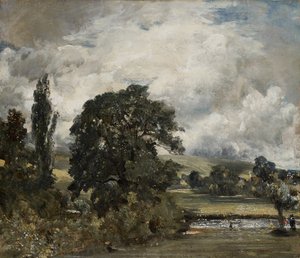 Prairies humides près de Salisbury, 19ème siècle - John Constable